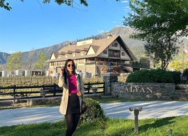 Transporte Alyan Sunset