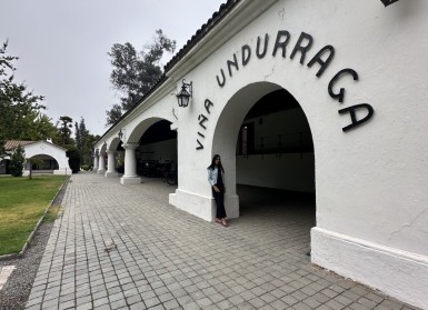 Isla Negra + Undurraga + Algarrobo